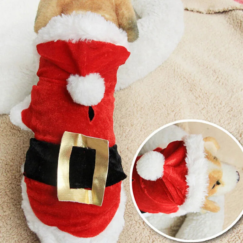 Santa Christmas Pet Outfit – Hooded Coat & Dress Options