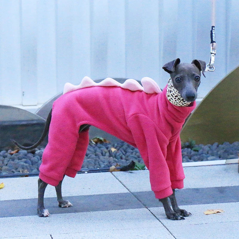 Dinosaur Turtleneck Dog Outfit – Four-Leg Design