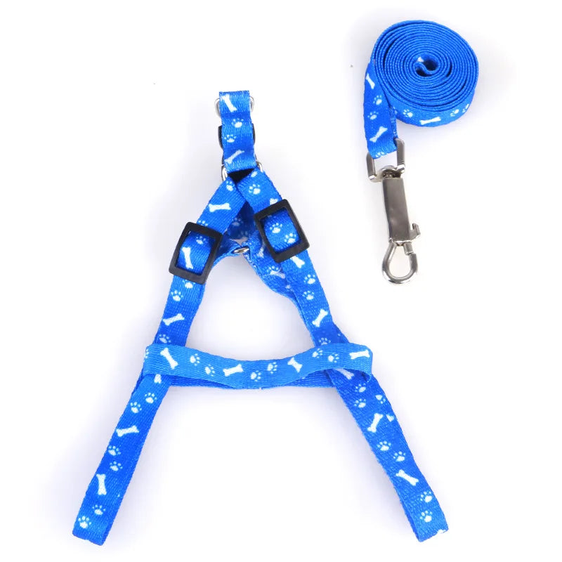 Patterned Small-Pet Harness & Leash Set