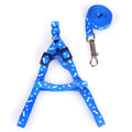 Patterned Small-Pet Harness & Leash Set