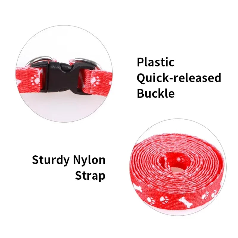 Patterned Small-Pet Harness & Leash Set