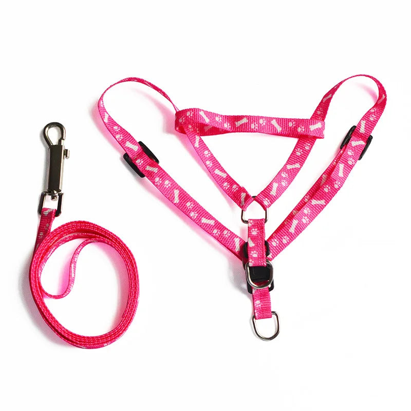 Patterned Small-Pet Harness & Leash Set
