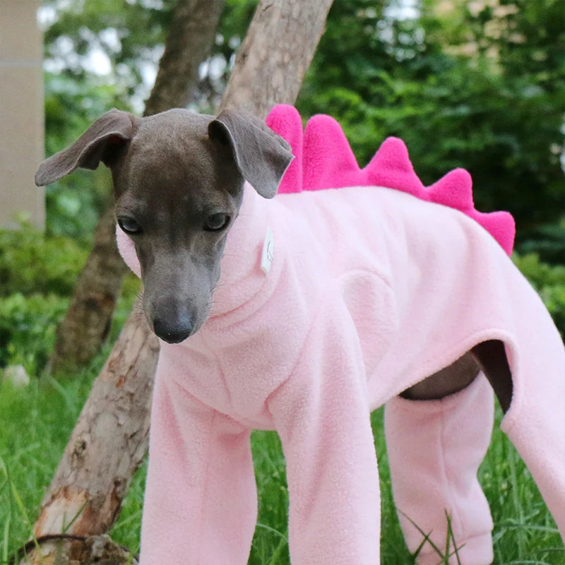 Dinosaur Turtleneck Dog Outfit – Four-Leg Design