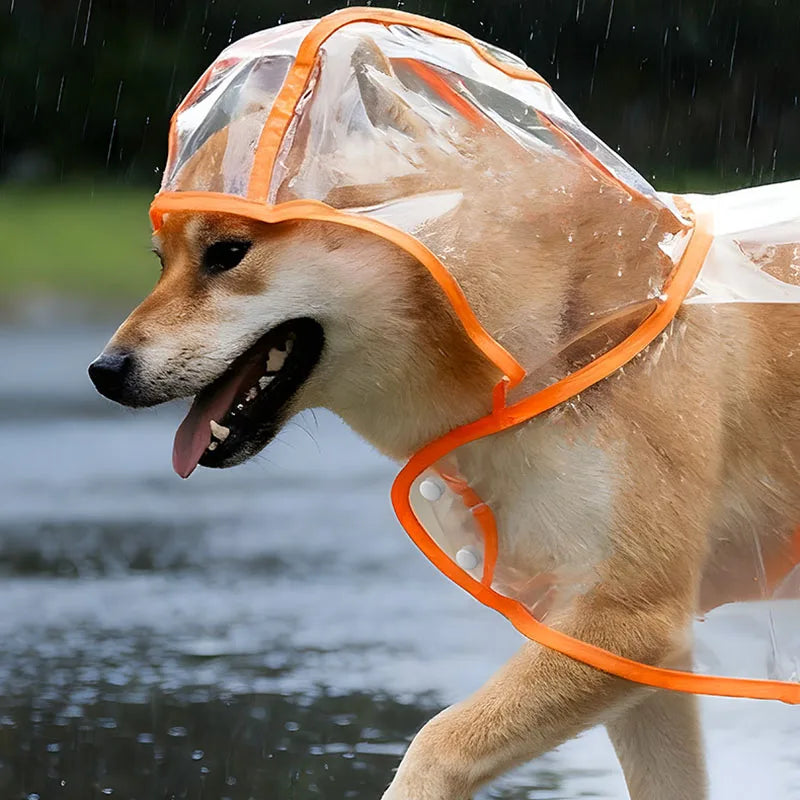 Clear Hooded Dog Raincoat – S to XL