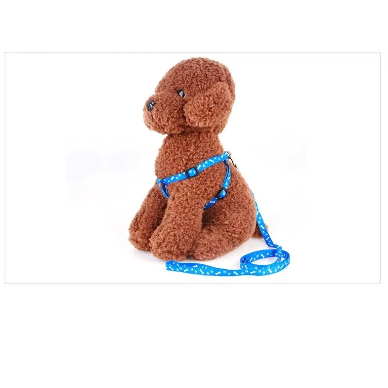 Patterned Small-Pet Harness & Leash Set