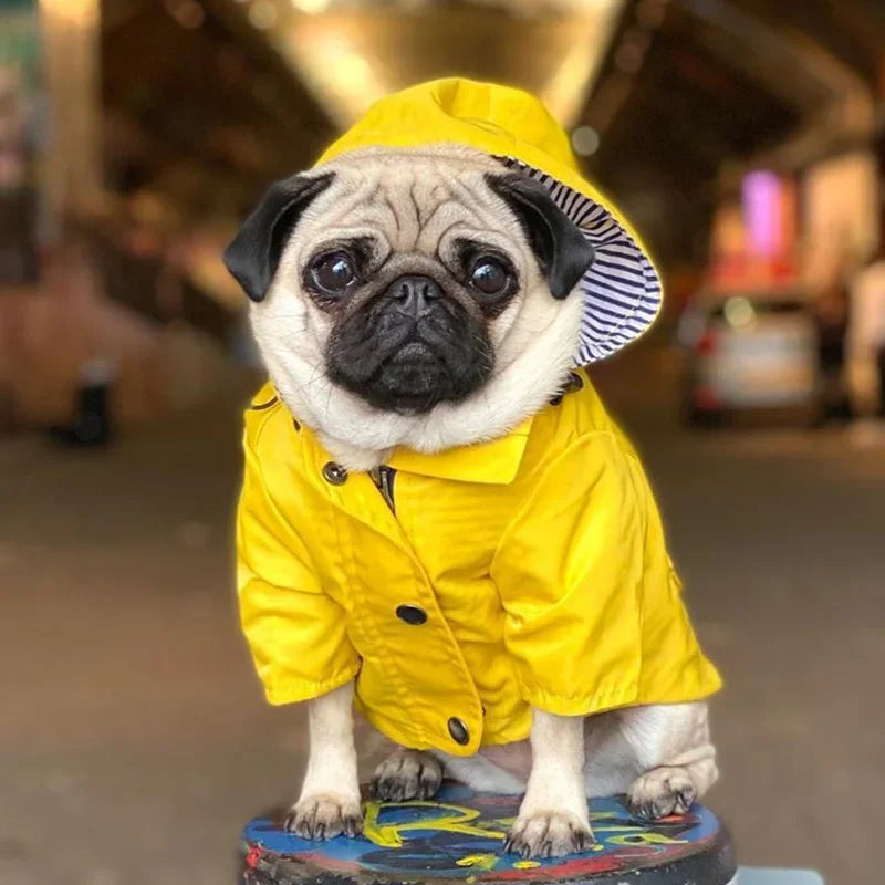 Yellow Hooded Dog Coat with Striped Lining