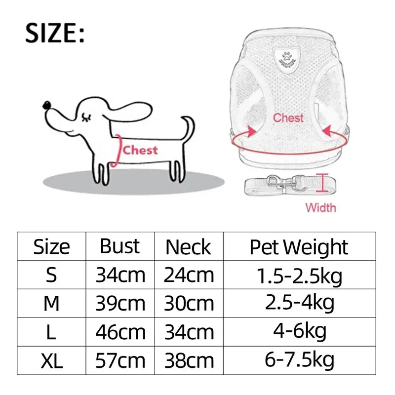Adjustable Mesh Pet Harness & Leash – S to L