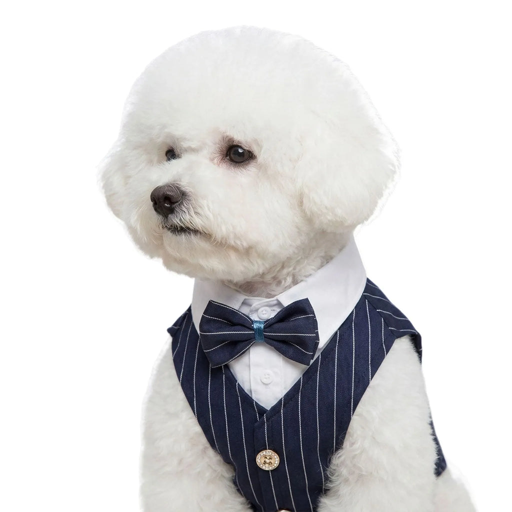 Pinstripe Dog Tuxedo-Style Outfit with Bow Tie