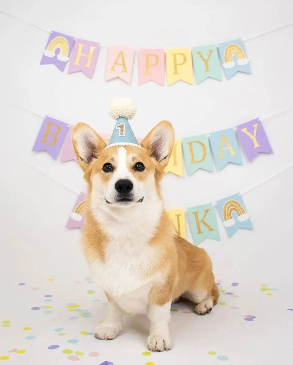 1st Birthday Hat Handmade Party Decoration Cone Hat Pet Hat First Birthday Photography Atmosphere Prop for Girls and Boys