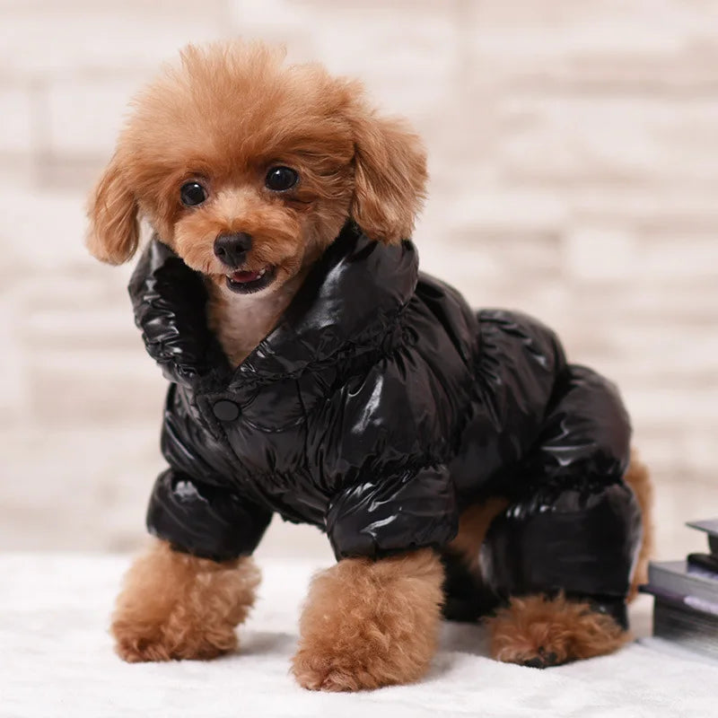 Quilted Four-Leg Dog Snowsuit with Stand Collar