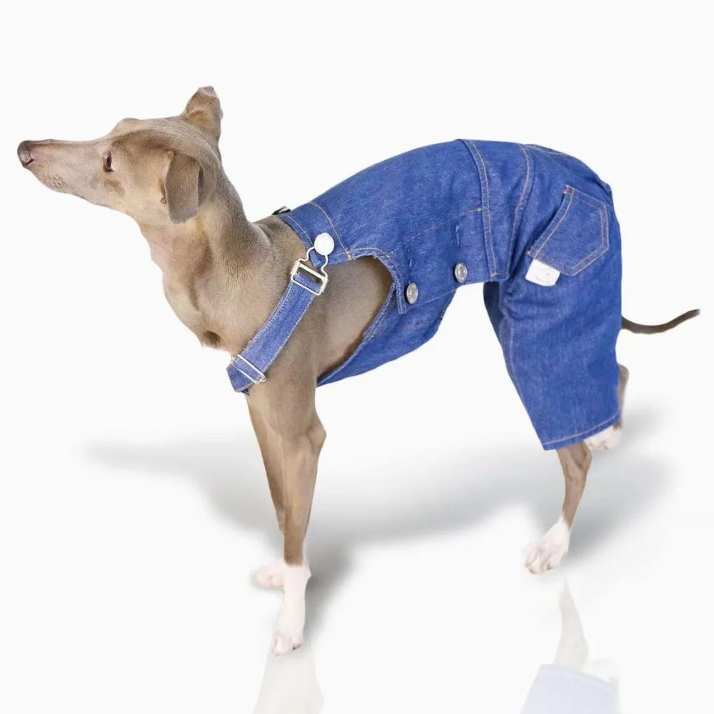 Adjustable Dog Overalls – Blue & White