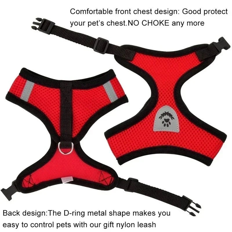 Adjustable Mesh Pet Harness & Leash – S to L