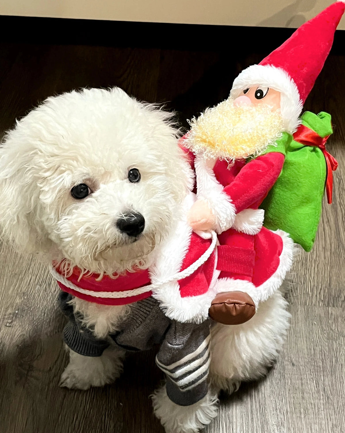 Santa Rider Pet Christmas Costume