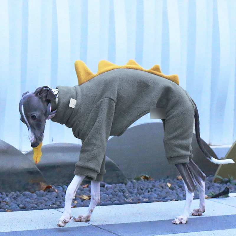 Dinosaur Turtleneck Dog Outfit – Four-Leg Design