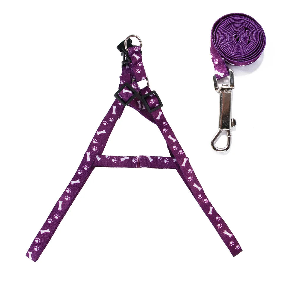 Patterned Small-Pet Harness & Leash Set