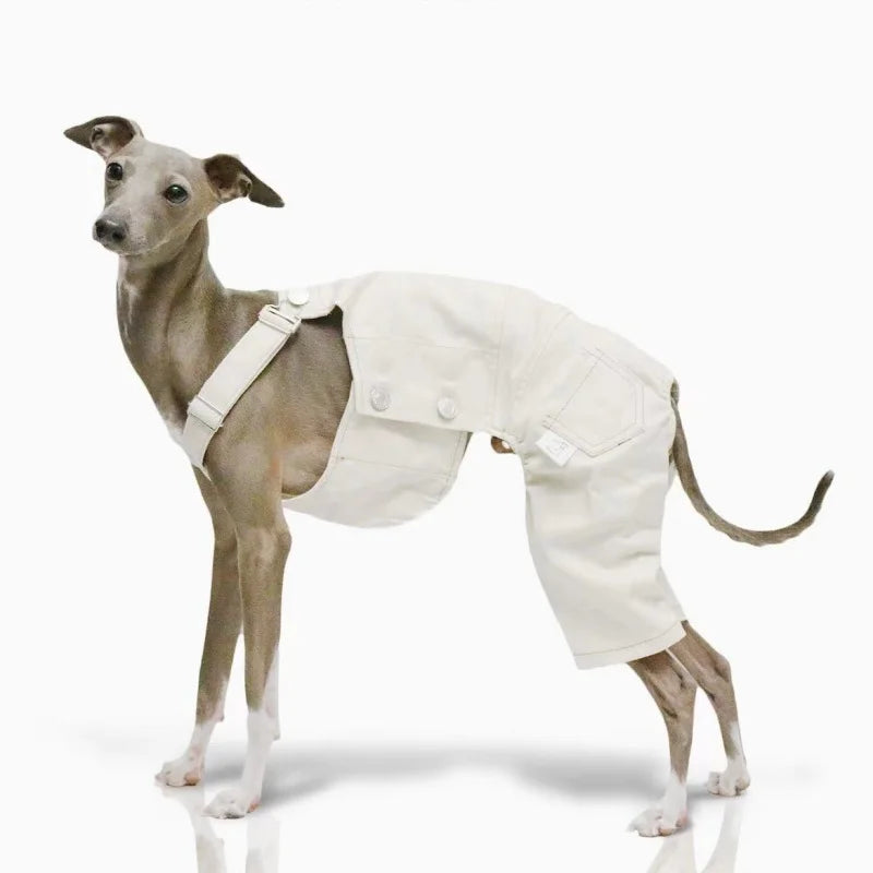 Adjustable Dog Overalls – Blue & White