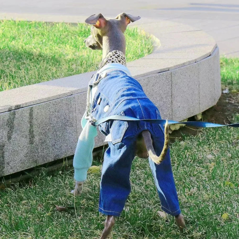Adjustable Dog Overalls – Blue & White