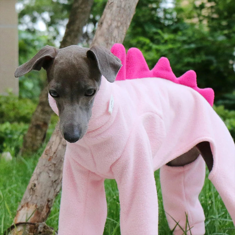 Dinosaur Turtleneck Dog Outfit – Four-Leg Design