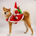 Santa Rider Pet Christmas Costume
