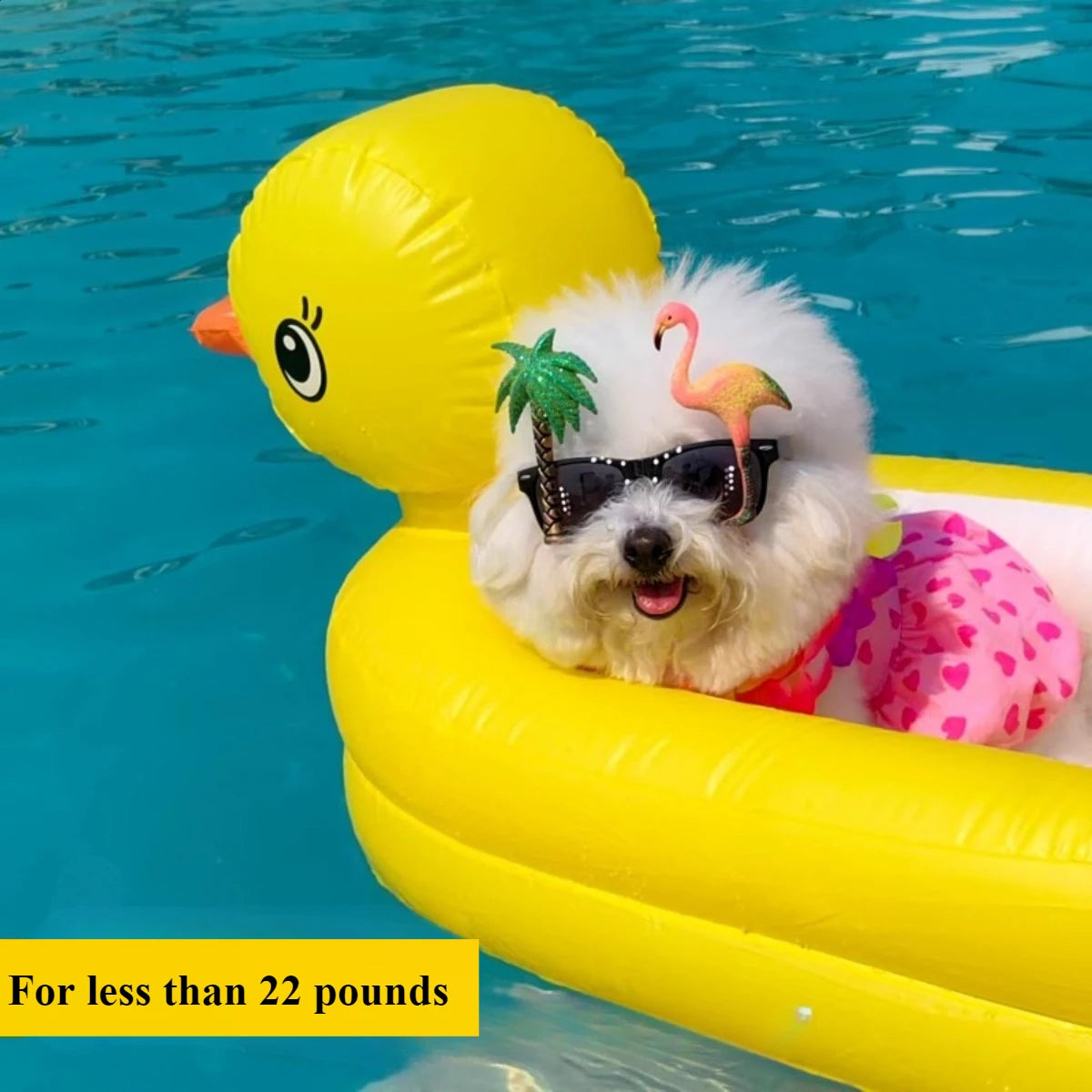 Inflatable Pet Pool Float – Yellow Duck or Whale