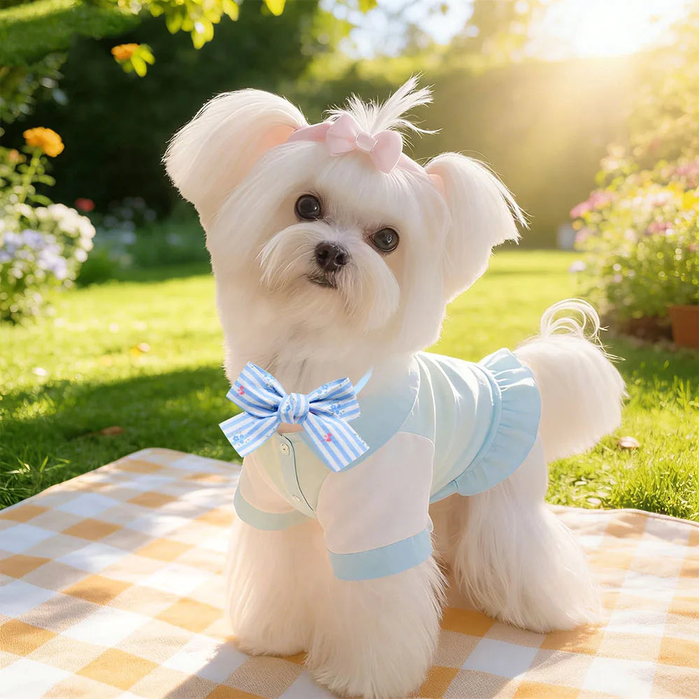 Blue Patterned Pet Bow Ties with Adjustable Straps