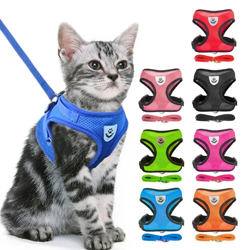 Adjustable Mesh Pet Harness & Leash – S to L