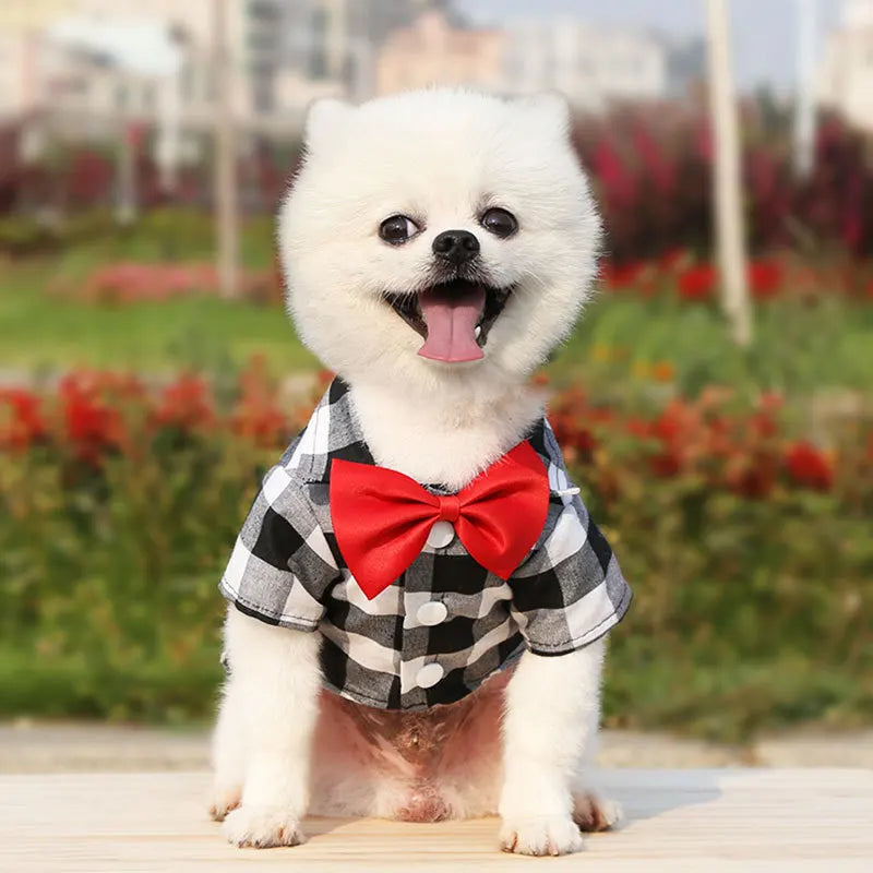 Plaid Pet Shirt with Red Bow Tie – Three Colors, XS–4XL