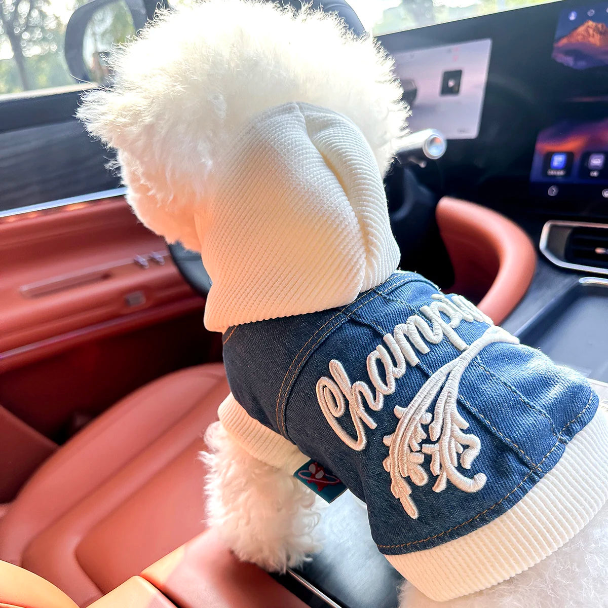 Blue Denim-Look Dog Hoodie with White Hood & Embroidered Back