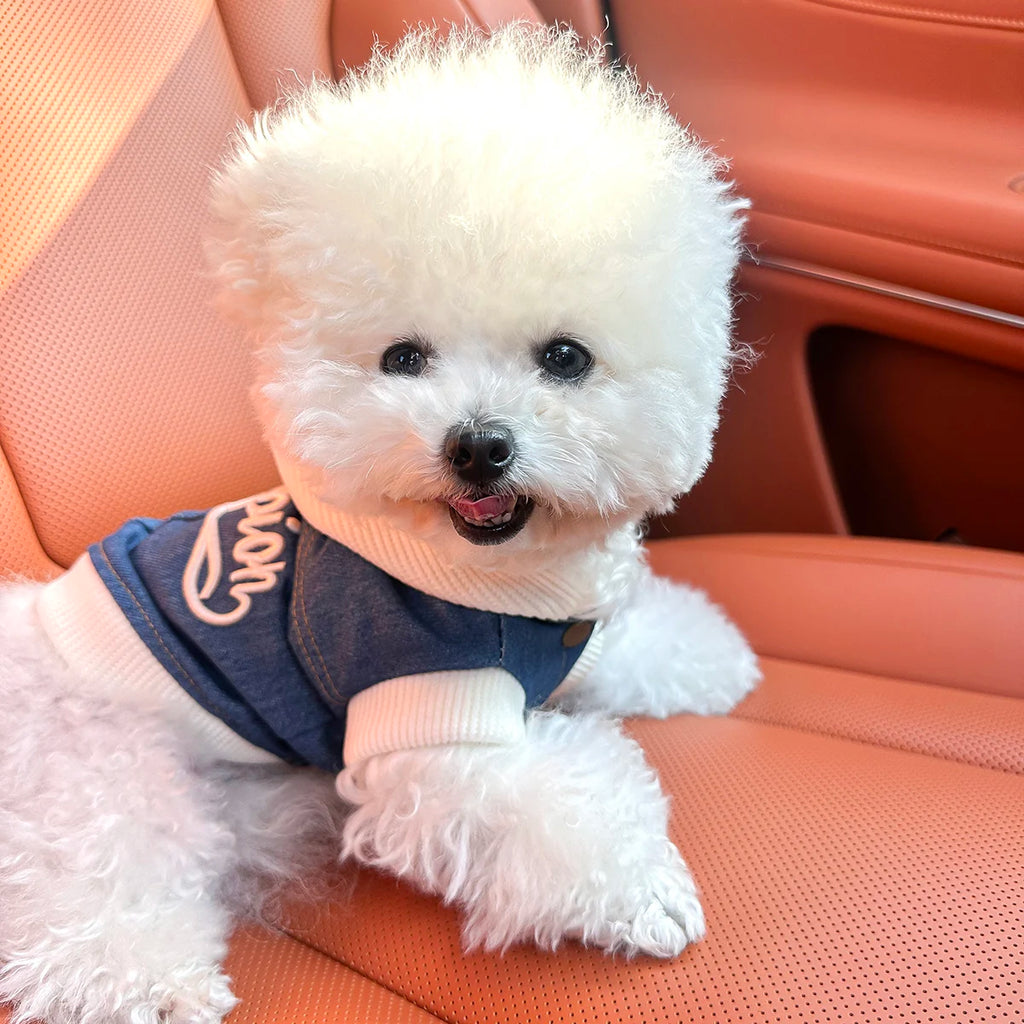 Blue Denim-Look Dog Hoodie with White Hood & Embroidered Back