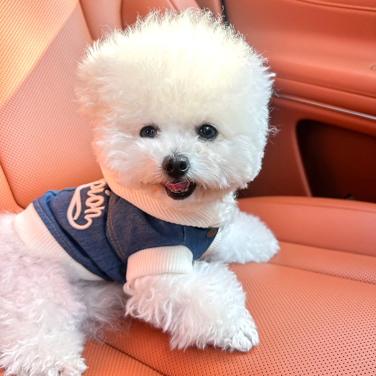 Blue Denim-Look Dog Hoodie with White Hood & Embroidered Back