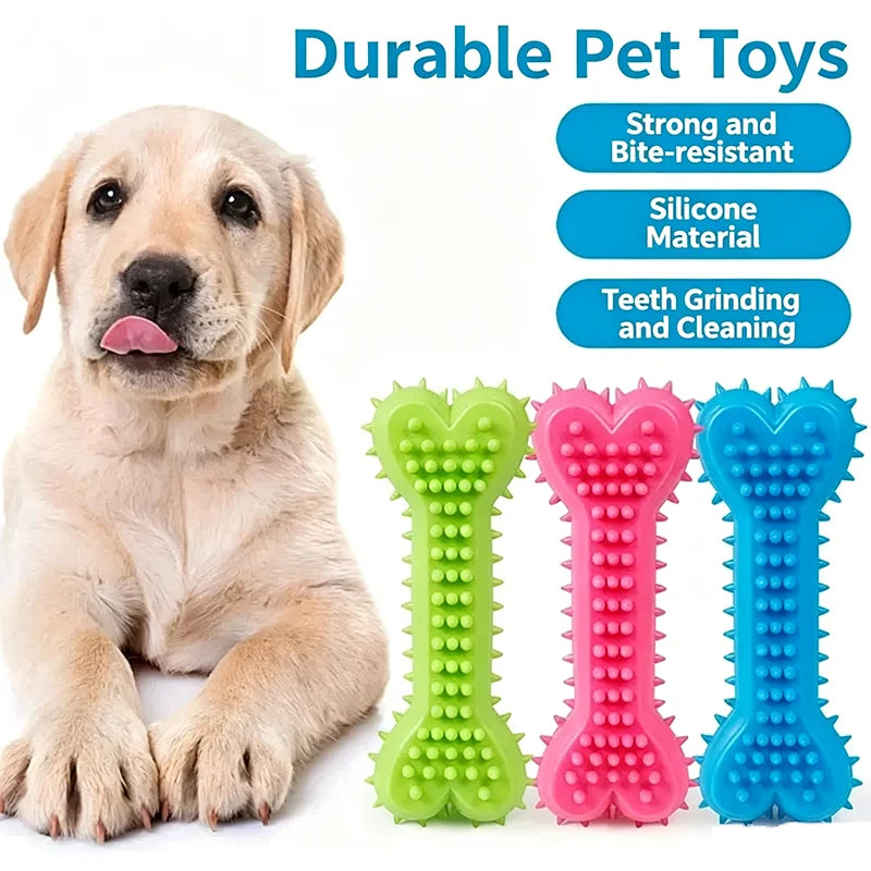 Textured Dog Play Toys – One or Three Pieces, Random Colors