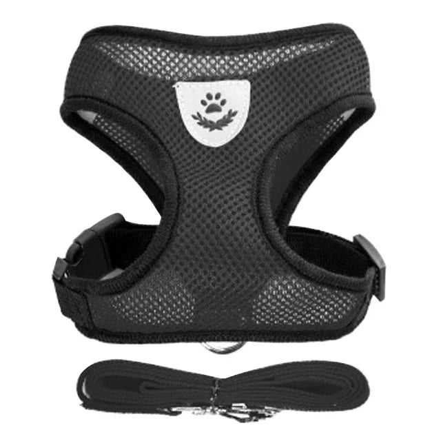 Adjustable Mesh Pet Harness & Leash – S to L