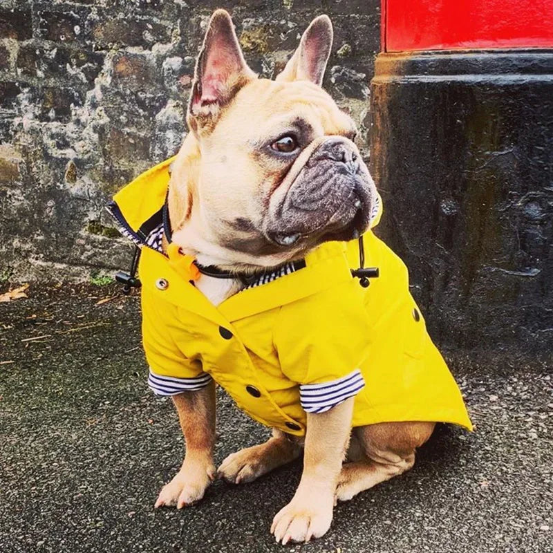 Yellow Hooded Dog Coat with Striped Lining