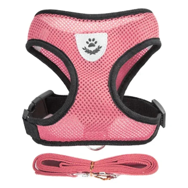 Adjustable Mesh Pet Harness & Leash – S to L