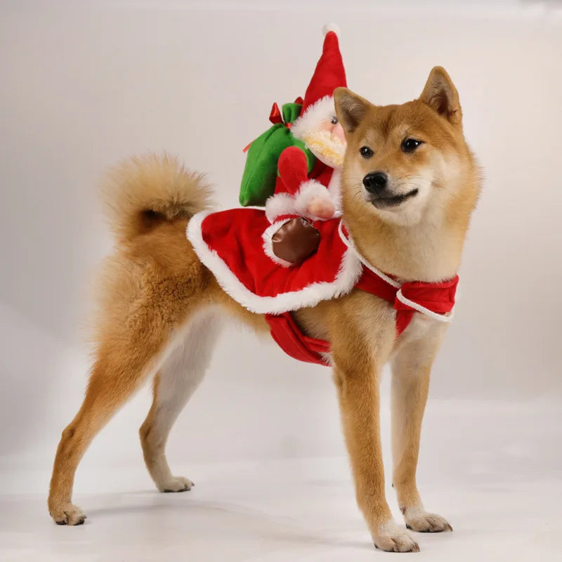 Santa Rider Pet Christmas Costume