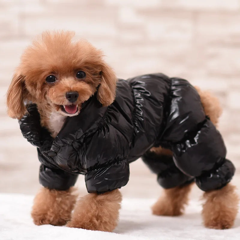 Quilted Four-Leg Dog Snowsuit with Stand Collar