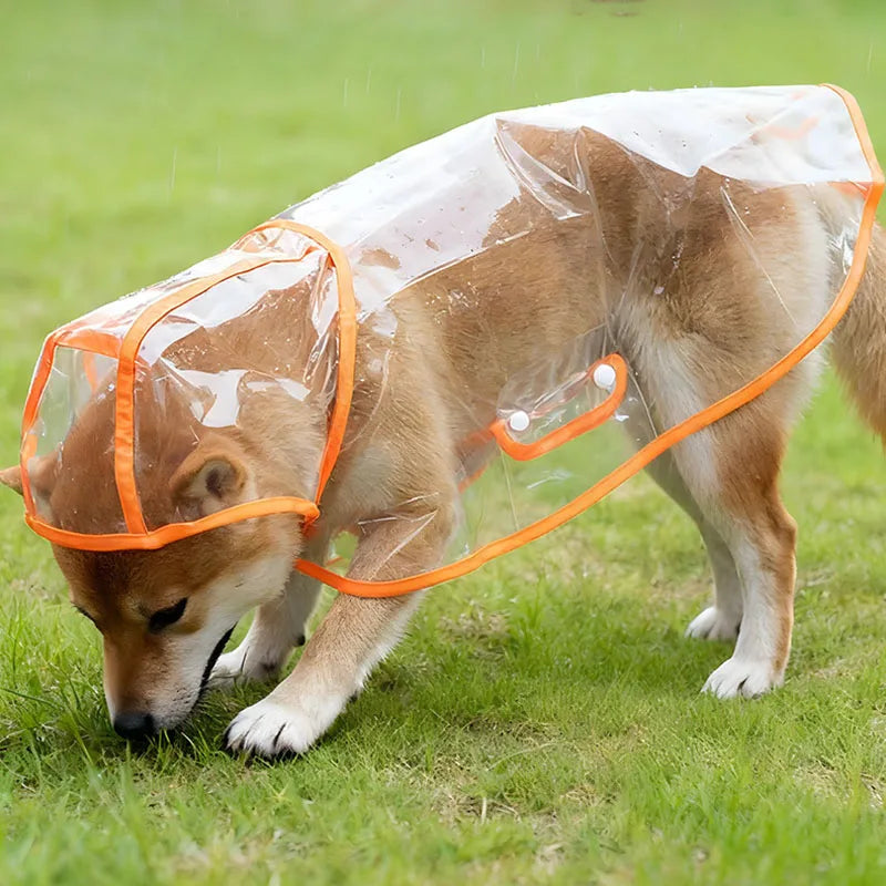 Clear Hooded Dog Raincoat – S to XL