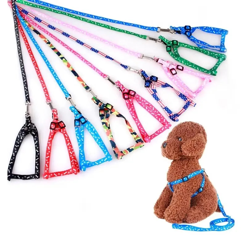 Patterned Small-Pet Harness & Leash Set