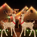 Light-Up Acrylic Christmas Reindeer – 30 cm