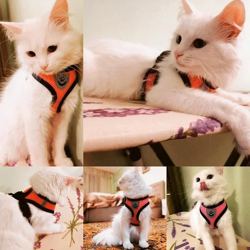 Adjustable Mesh Pet Harness & Leash – S to L