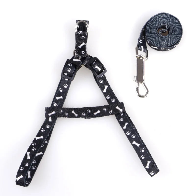 Patterned Small-Pet Harness & Leash Set