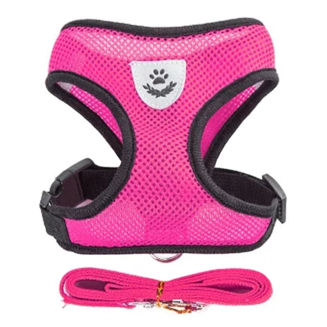 Adjustable Mesh Pet Harness & Leash – S to L