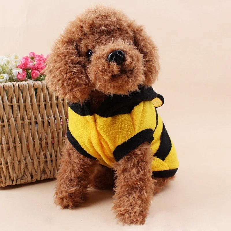 Bumblebee Hooded Pet Costume – Yellow & Black