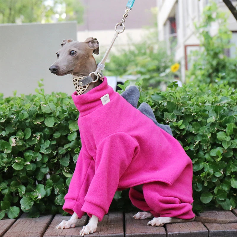 Dinosaur Turtleneck Dog Outfit – Four-Leg Design