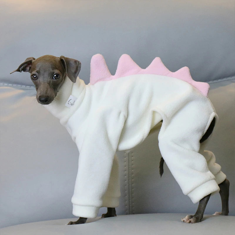 Dinosaur Turtleneck Dog Outfit – Four-Leg Design