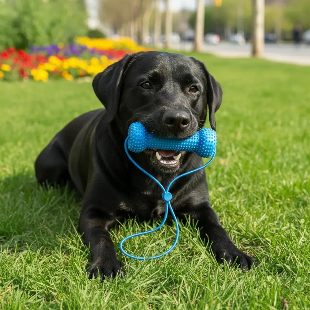 Blue Textured Dog Bone Toy with Cord – 10 or 15 cm