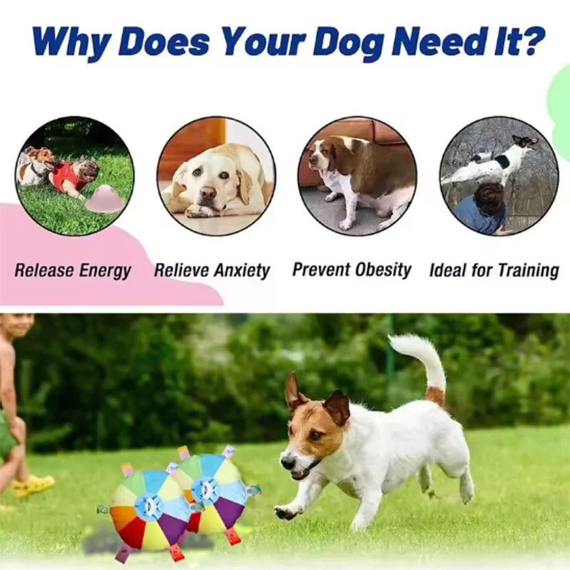 G1 Interactive Ball Toys With Grab Tabs Dog Bite Chew Balls Pets Accessories Puppy Outdoor Training Soccer Pet Supplies 16cm