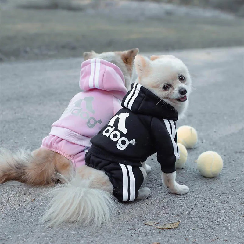 Hooded Dog Jumpsuit with Stripes & Bone Graphic