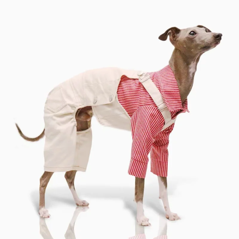 Adjustable Dog Overalls – Blue & White