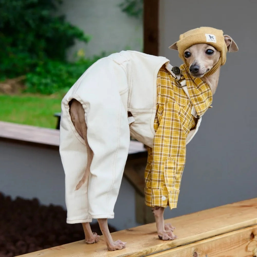 Adjustable Dog Overalls – Blue & White